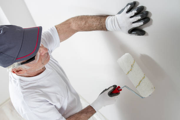 Best Basement Mold Removal  in Lake Junaluska, NC