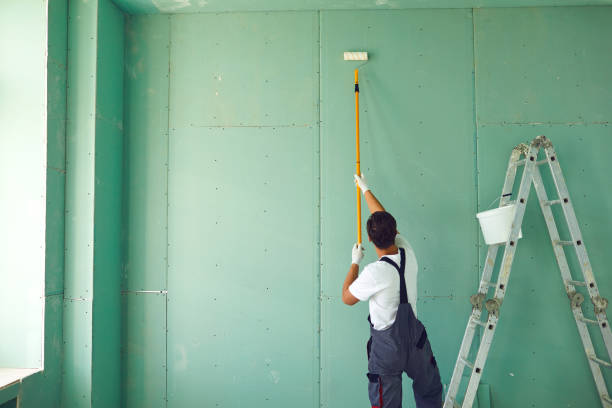 Best Water Damage & Mold Remediation  in Lake Junaluska, NC