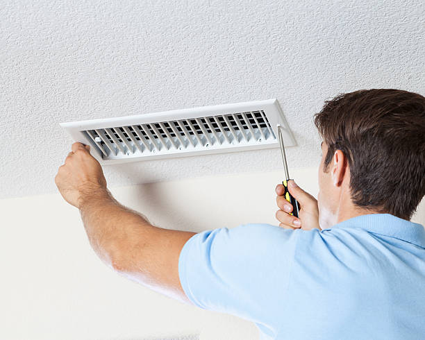 Best Black Mold Removal  in Lake Junaluska, NC