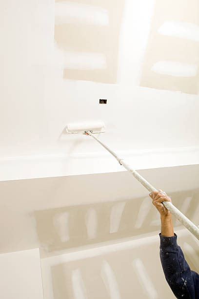 Best Mold Odor Removal Services  in Lake Junaluska, NC