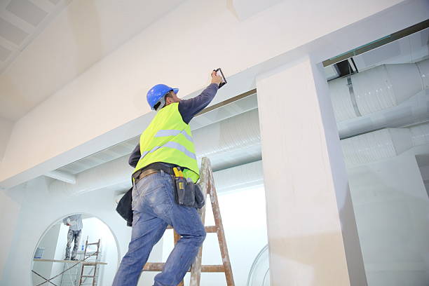 Best Emergency Mold Remediation  in Lake Junaluska, NC