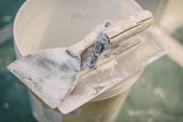 Mold Odor Removal Services in Lake Junaluska, NC