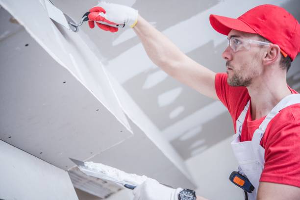 Best Environmental Consulting for Mold Prevention  in Lake Junaluska, NC