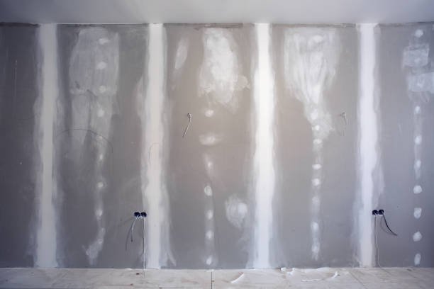 Best Post-Construction Mold Inspection  in Lake Junaluska, NC